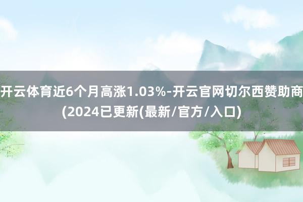 开云体育近6个月高涨1.03%-开云官网切尔西赞助商(2024已更新(最新/官方/入口)