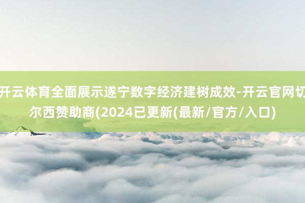 开云体育全面展示遂宁数字经济建树成效-开云官网切尔西赞助商(2024已更新(最新/官方/入口)