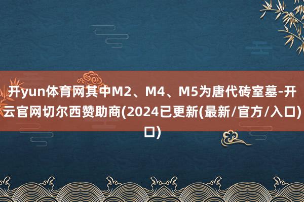 开yun体育网其中M2、M4、M5为唐代砖室墓-开云官网切尔西赞助商(2024已更新(最新/官方/入口)