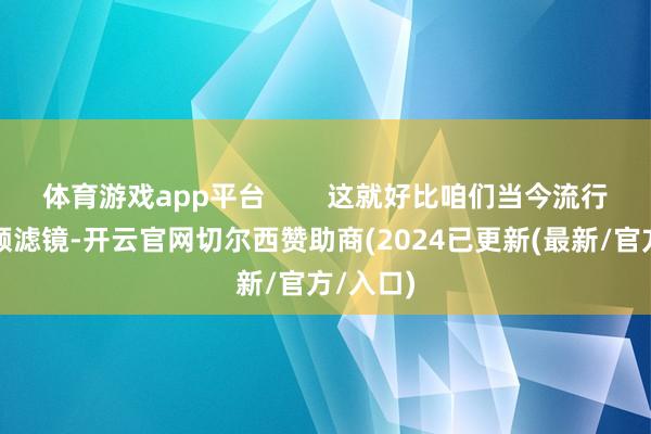 体育游戏app平台        这就好比咱们当今流行的短视频滤镜-开云官网切尔西赞助商(2024已更新(最新/官方/入口)