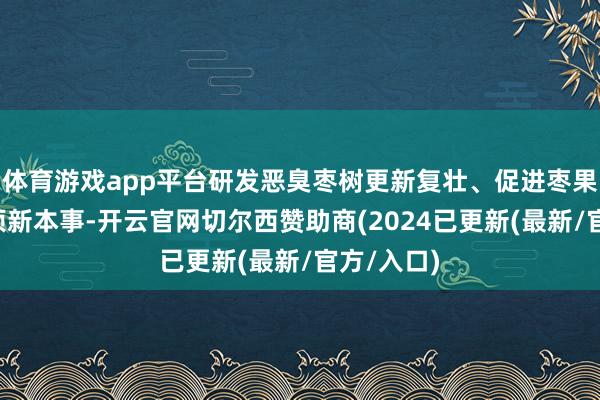 体育游戏app平台研发恶臭枣树更新复壮、促进枣果扩张等5项新本事-开云官网切尔西赞助商(2024已更新(最新/官方/入口)